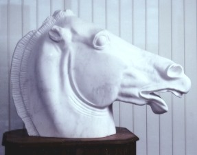 Equus Phedea